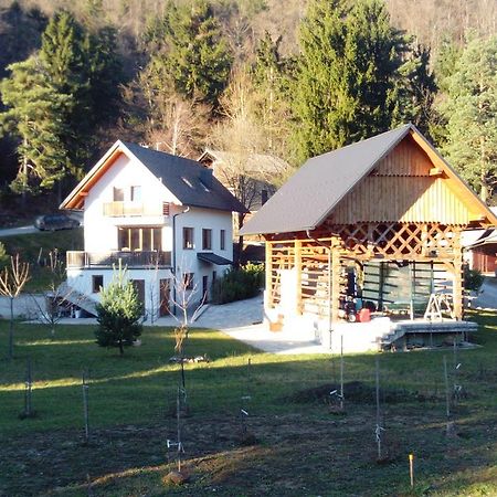 Vila Katarina Hrastenica Buitenkant foto